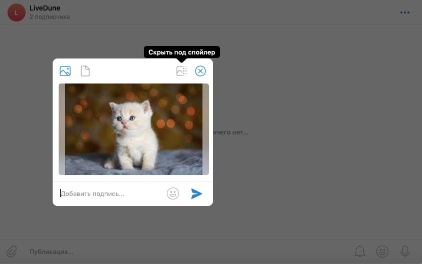 Спойлер в Телеграм: как скрыть текст, фото и видео в сообщении