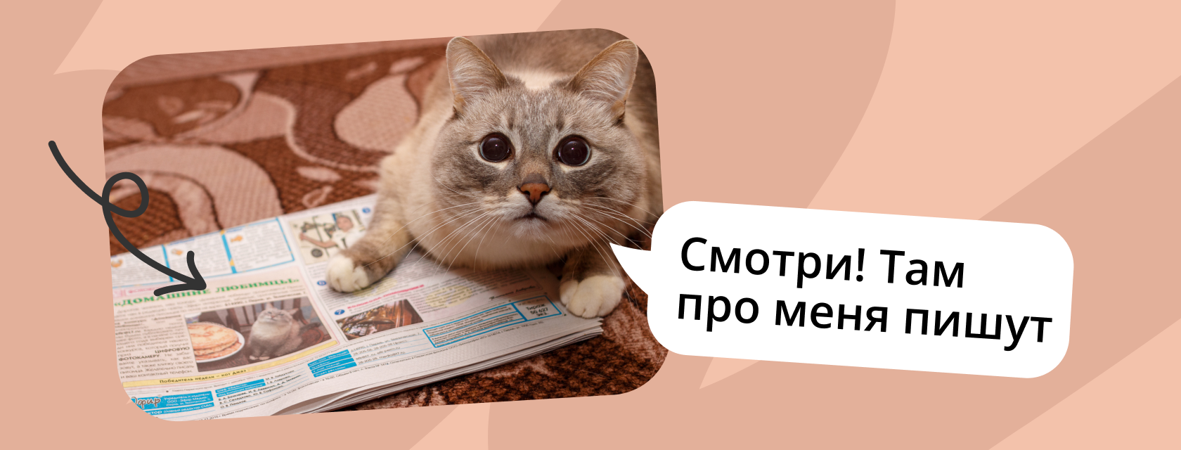 продвижение компании в сми